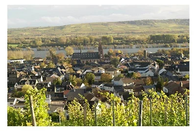 Ruby - Weingut werk2