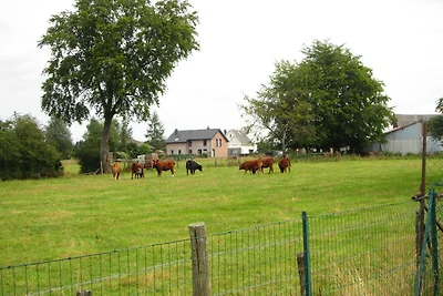 Ferienhaus in Robertville mit Sauna & Garten