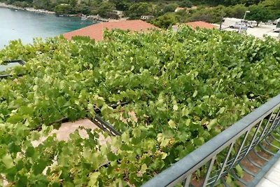 apartman za odmor Obiteljski odmor Saplunara