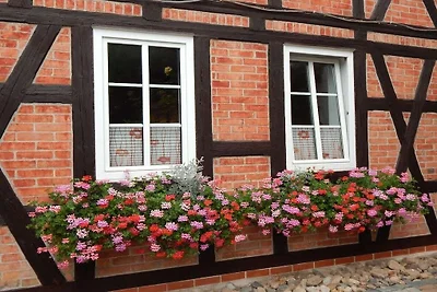 Ferienwohnung mit 1 Schlafzimmer