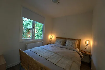 Alloggio con diverse tende glamping