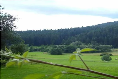 Vakantiehuis in het Beierse Woud