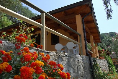 Bungalow in caprioli di pisciotta con piscina