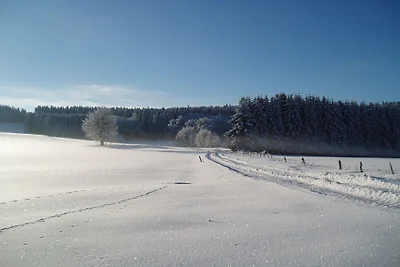 Auf dem schönen Feld ||
