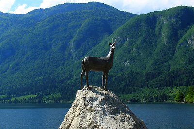 Ideal apartamento en Bohinjska Bistrica con...