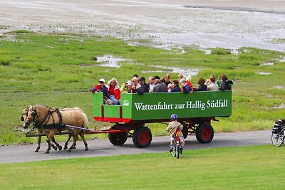 Ferienhaus Erholungsurlaub Silberstedt