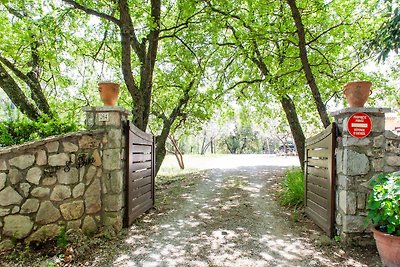 Villa con piscina privata a Callas in Francia