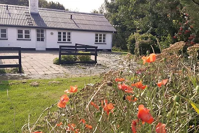 8 Personen Ferienhaus in Løkken-By Traum