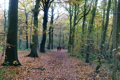 Moderner Rückzugsort in Strandnähe