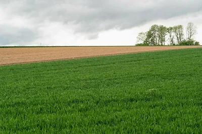 Wohnung in Ubachsberg nahe Wanderwege