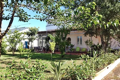 Accogliente casa vacanze a Trecase con...