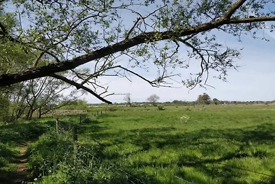 5 Personen Ferienhaus in HÖGANÄS-By Traum