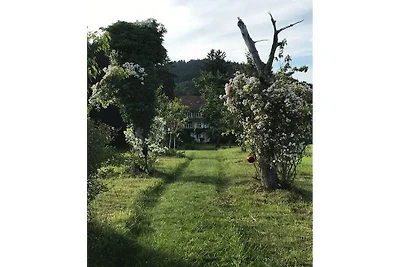 Kuća za odmor Dopust za oporavak Schopfheim