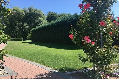 Widok na morze dla 2 osób (41m²)