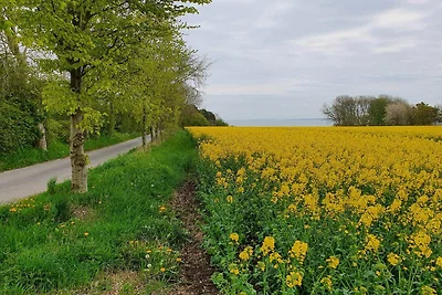 4 Personen Ferienhaus in Nykøbing M-By Traum