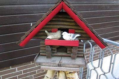 Heideblockhaus Dachsbau