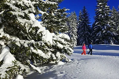 Nr. 6 / Zahmer Kaiser