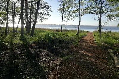 4 persoons vakantie huis in Snedsted-By Traum
