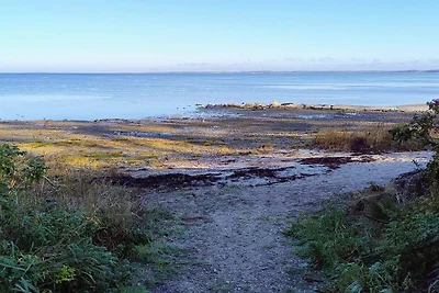4 Personen Ferienhaus in Farsø-By Traum