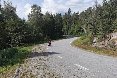 4 Personen Ferienhaus in Brålanda