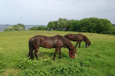 6 Personen Ferienhaus in Aabenraa-By Traum