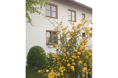 Müller 3 im Haus Frühling