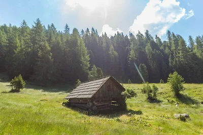 Schönes Chalet mit Sauna