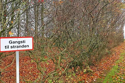 Gemutliches Kustenhauschen in Jegindo-By...