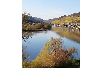 Ferienwohnung in Zell (Mosel) mit Balkon