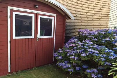 Im Haus Holunderhain