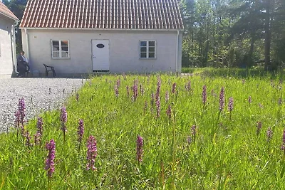 5 Sterne Ferienhaus in Lärbro