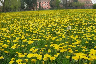 Appartamento in Veneto con piscina in comune