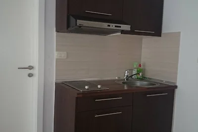 Apartments Despot Zaostrog RO