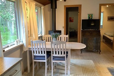 4 Personen Ferienhaus in Thisted-By Traum