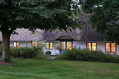 Reetdachkate in der Wiese