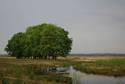 Detached villa near the Veluwe