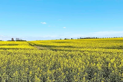 4 Sterne Ferienhaus in BÅSTAD-By Traum