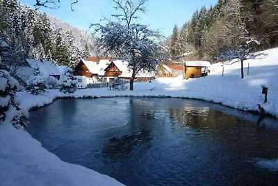 Eulersbacher Hof Residenza di vacanza...
