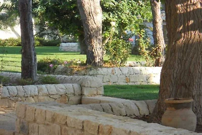 Il Giardino degli Ulivi
