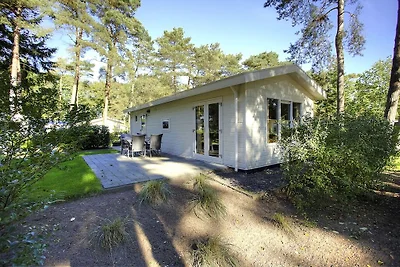 Chalet mit Geschirrspüler auf der Veluwe