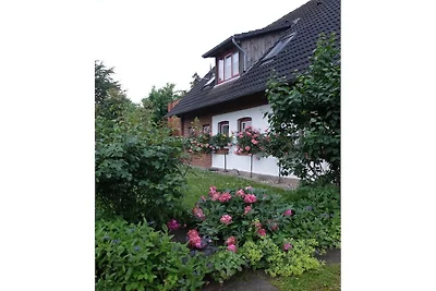 Vakantieappartement met 1 slaapkamer