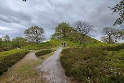 8 Personen Ferienhaus in Gjern-By Traum