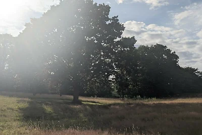 Geraumiger Ruckzug mit Fjordblick -- By Traum...