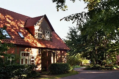 Ferienhaus in Waddeweitz mit Barbecue