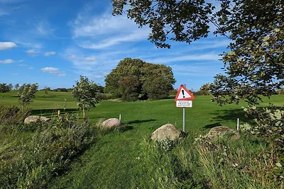 8 Personen Ferienhaus in Aabenraa-By Traum