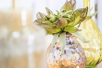 Apartment in der Nähe von Albufeira mit...