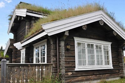 5 Sterne Ferienhaus in Fåvang