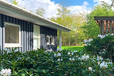 7 persoons vakantie huis in Gilleleje