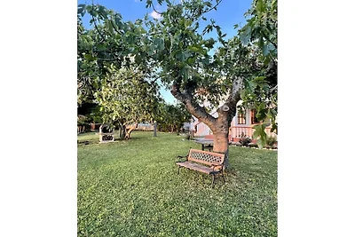 Ferienhaus mit 1 Schlafzimmer