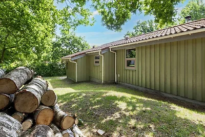 6 persone case ad Hadsund-By Traum